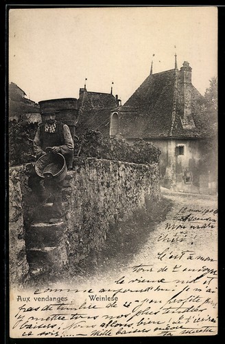 Ansichtskarte aux vendanges - ansichtskarte,