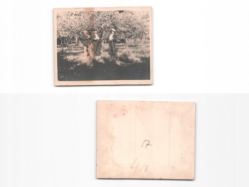 Familie - ,