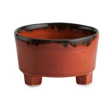 Salat Suppen Schale Müsli