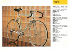 Rennrad Pinarello Veneto campagnolo rahmenframe chrom stahl rahmenhöhen 56