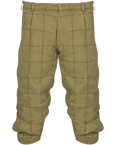 Alan paine knickerbocker - alan,
