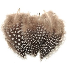 50x Vogelfedern Perlhuhn