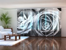 Fotogardine Rosen schwarz