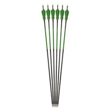 6/12x 31.5" Carbonpfeile