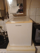 Severin KB 8873 46L Kühlbox mit Kältefach - Weiß