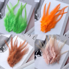 50 Stck. Bunt Dekorativ