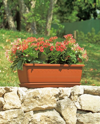 Blumenkasten mit untersetzer - mit, 4