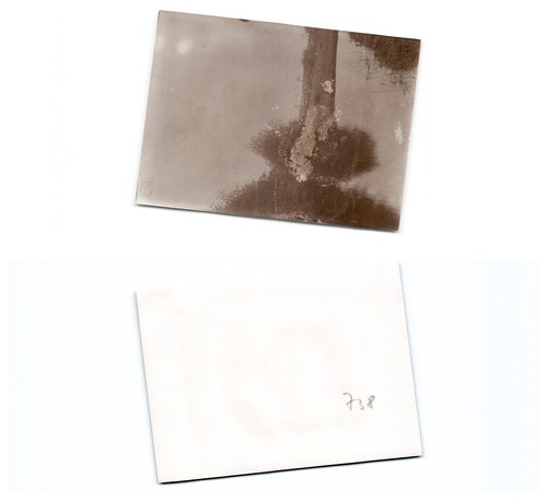 Danzig 1903 - (b77668a738),