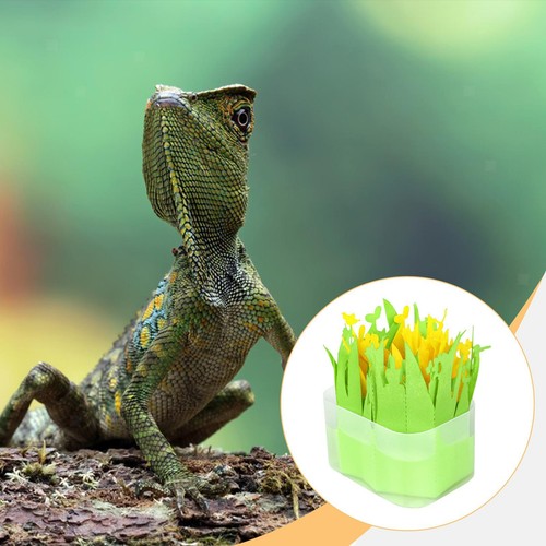 Reptilien luftbefeuchter mit - reptilien-luftbefeuchter,
