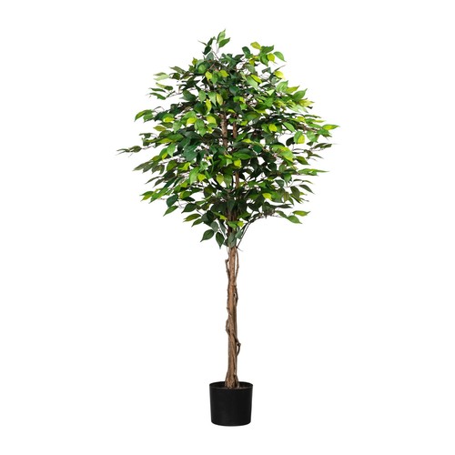 Kunstpflanze ficus benjamini - kunstpflanze,