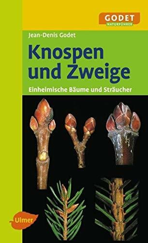 Knospen und zweige - knospen,