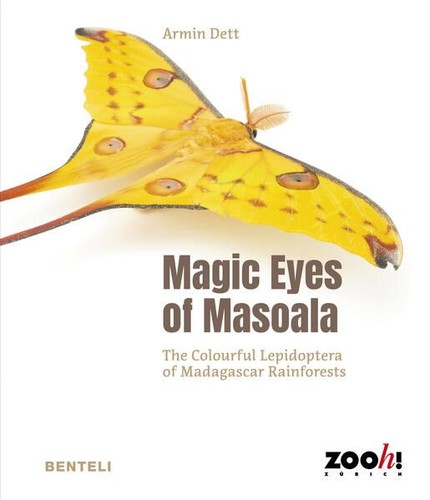 Magic eyes masoala the - eyes,