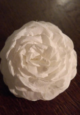 50 x große Krepprosen weiß