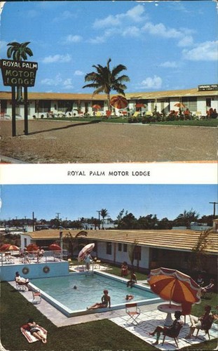 Palm beach royal - palm,