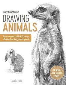 Drawing animals how - to, create