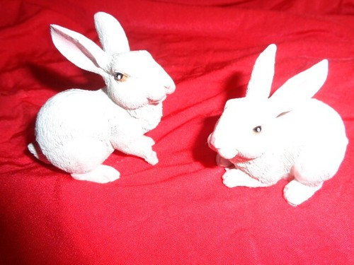 Hasen osterhase weiß - osterhase,