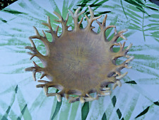 Anbiet Schale möglich Polyresin oder Keramik im Geweih Design.