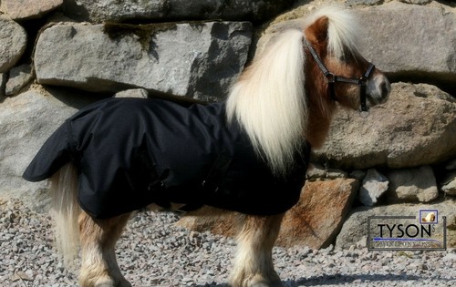 Regendecke minipony pony - regendecke,