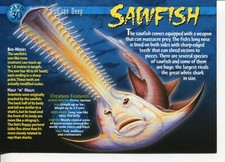 Weird N’ Wild Creatures