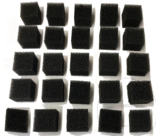 24x