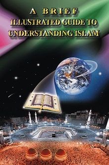 Brief illustrated guide to - guide,