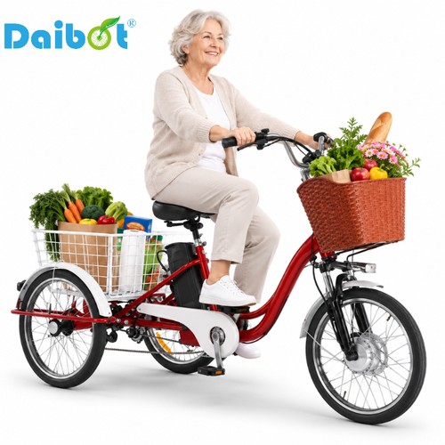 Daibot elektro dreirad 350w - elektro-dreirad,