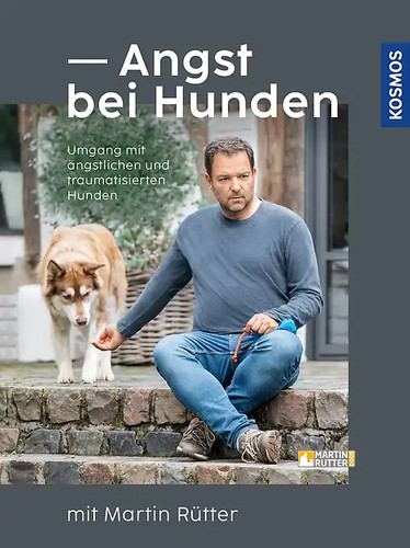 Angst bei hunden mit martin - hunden,