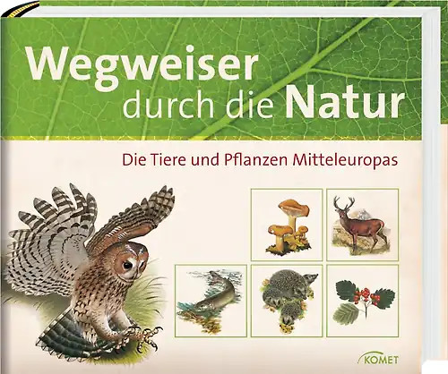 Wegweiser durch die natur - wegweiser,