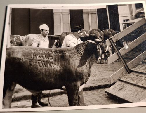 Altes foto vintage verladung - altes,