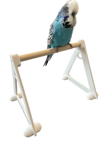Vogel sitzstange bodenständer - sitzstange,