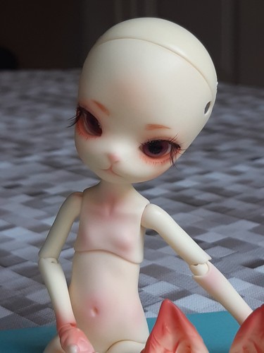 Dollzone mini kitty - dollzone,