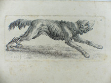 Original Radierung Carl Wilhelm Kolbe  Hund  21 cm x 13 cm