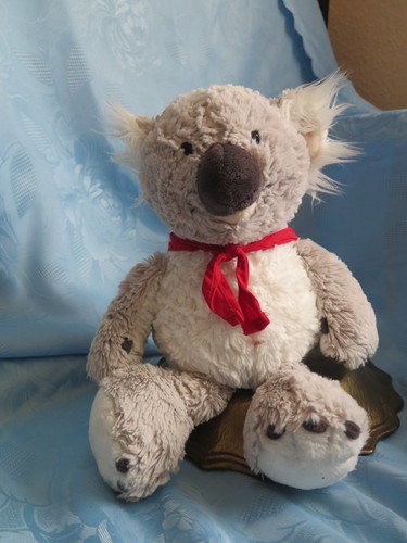 Koala bär plüschtier - koala,