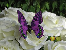 3D Schmetterlinge Magnet Wanddeko Wandtattoo viele Design zur Auswahl Teil 1