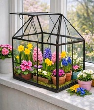 Anzucht Haus Mini Treibhaus