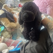 Hermann Teddy Collection