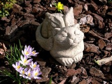 Katze mit Flügeln hockend