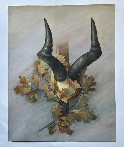 Zeichnung anonym 50 cm - zeichnung, 51,5