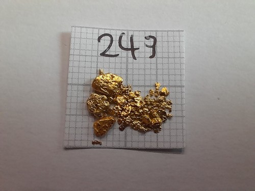 Echte goldnuggets alaska - echte,