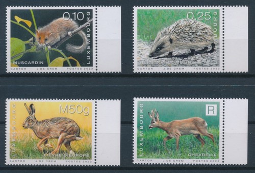 Luxemburg haselmaus igel - luxemburg,