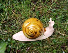 filigrane Schnecke KERAMIK -