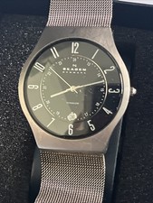 Skagen Designs Titanium