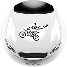 Autoaufkleber Freestyle