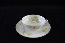 Schöne Teetasse + Untertasse