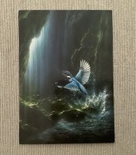 1 Postkarte,  Eisvogel
