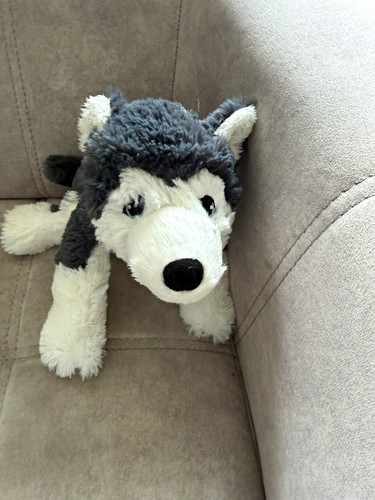 Plüsch stofftier hund liegend - plüsch,