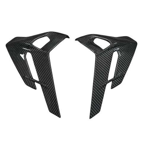 Carbon bugspoiler für ducati - bugspoiler,