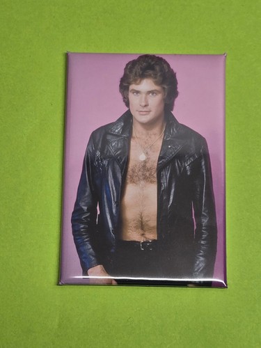 David hasselhoff magnet - david,