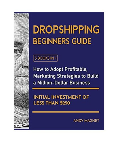 Dropshipping beginners guide - beginners,