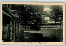 13912647 - 2115 Egestorf Bienenstand Herm. Schlueschen Bienen / Imkerei